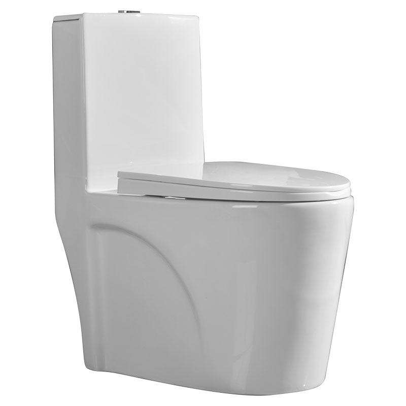 Inodoro Taro una pieza blanco elongado descarga doble 4 y 6 L Aqua Nuova